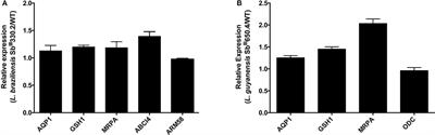 Biophysical and Pharmacological Characterization of Energy-Dependent Efflux of Sb in Laboratory-Selected Resistant Strains of Leishmania (Viannia) Subgenus